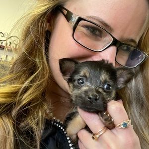 Meet your Posher, Dawn